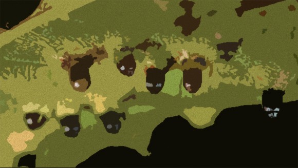 姉さん ホラーです 寄生生物によってエイリアンと化した植物たち 閲覧注意 カラパイア 姉さん ホラーです 寄生生物によってエイリアンと化した植物たち 閲覧注意 カラパイア