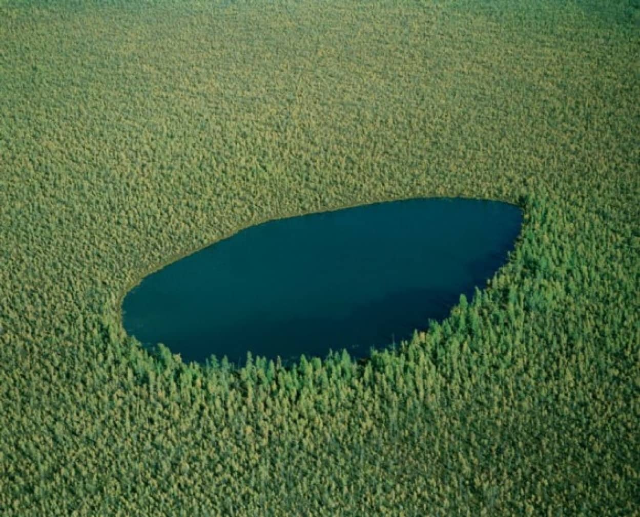 1_e