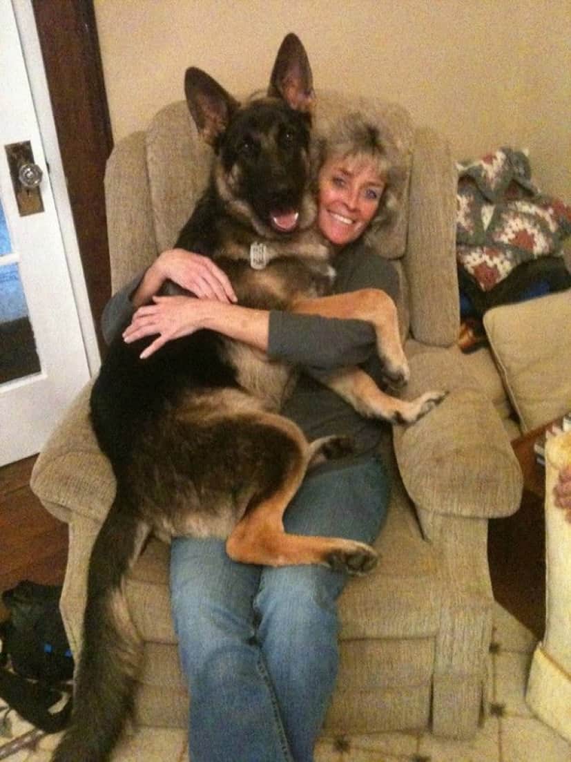 big-puppy7_e