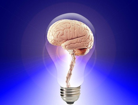 brain-20424_640_e