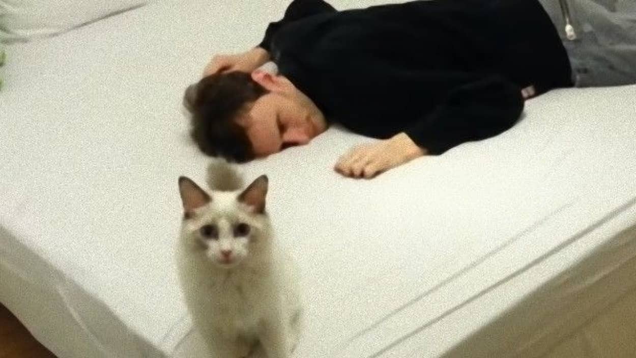 下僕もたまには愛を試したい時もある 猫の前で死んだふりをしてみた カラパイア