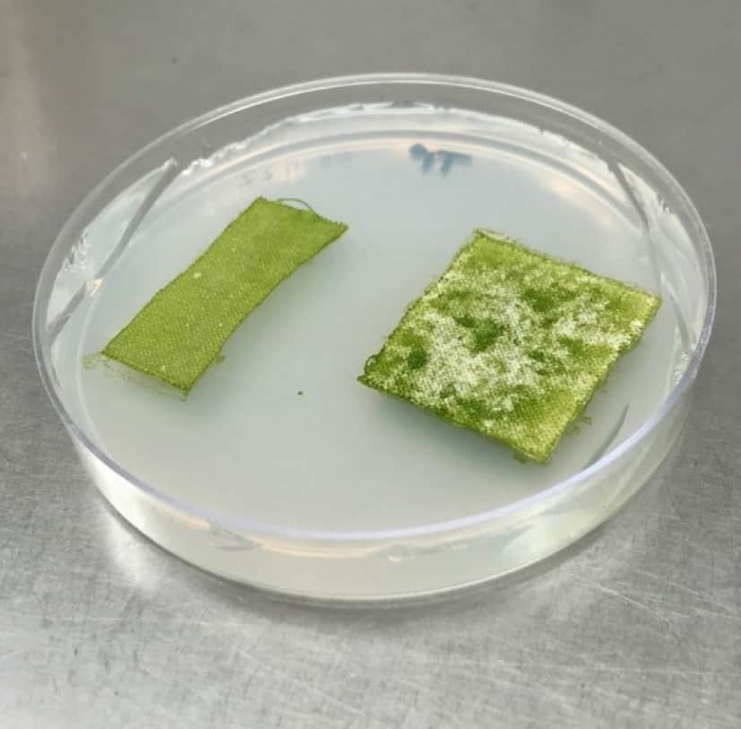 bio1_e