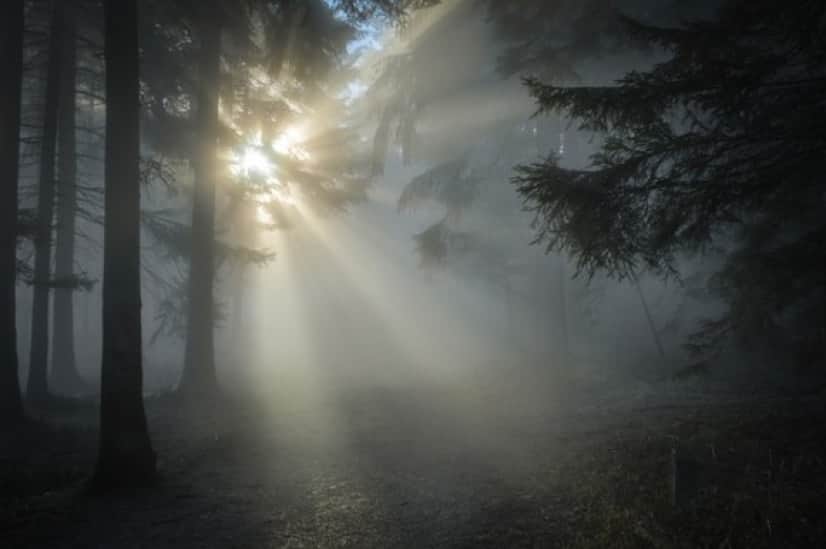 sunbeam-1547273_640_e