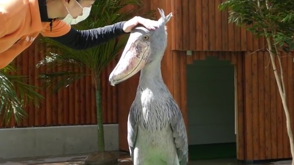 7_e3