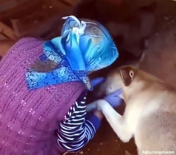 子供たちにご飯をくれてありがとう！女性に感謝の気持ちを表す母犬