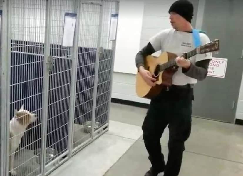 ballad