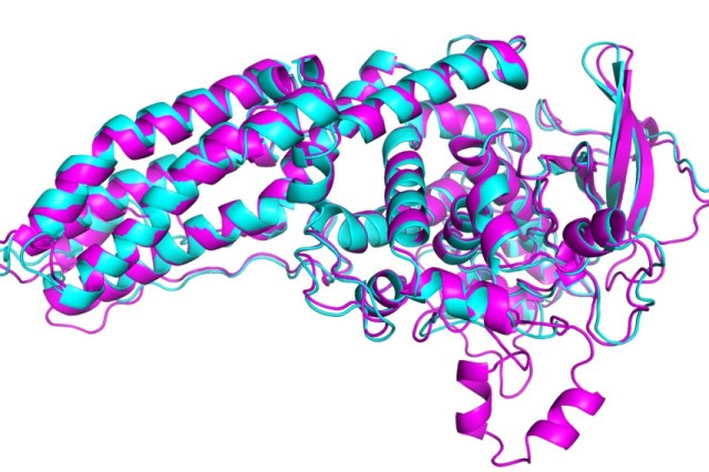 50年謎だったタンパク質をAIが解明