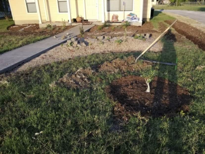 garden4_e