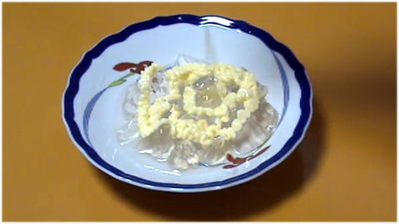 謎生物 オオマリコケムシ を実際に食べてみた 佐賀県 カラパイア