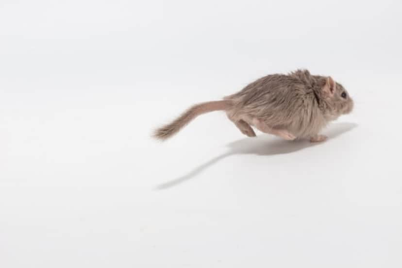 iStock-648942498_e