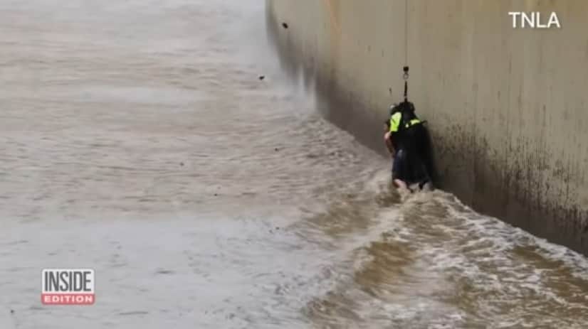 dog in river5_e