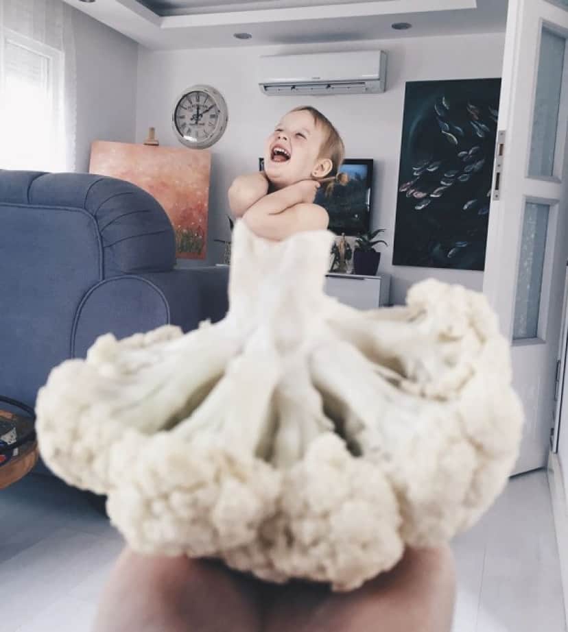 melon2_e