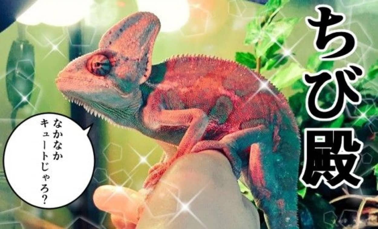 サムネ