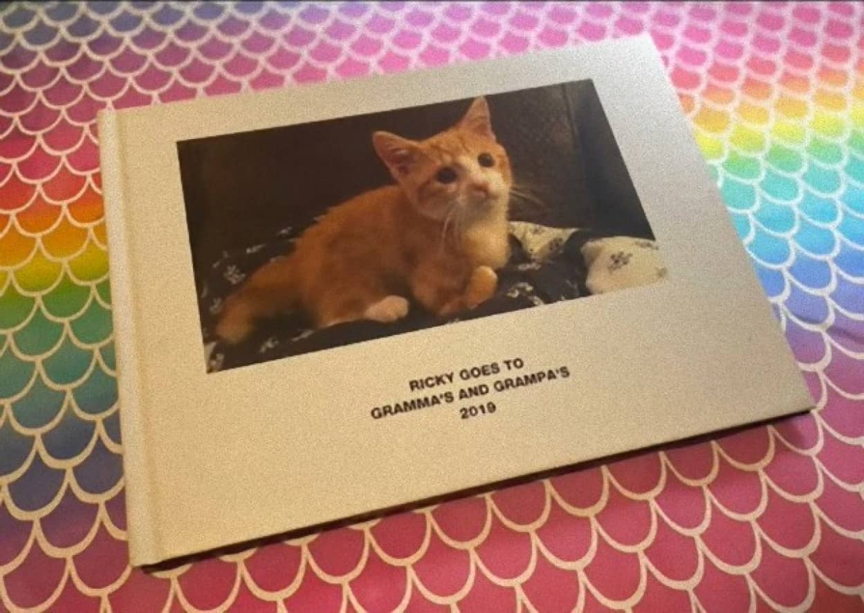 祖父母に子猫を預かってもらったら、心温まるフォトアルバムになった