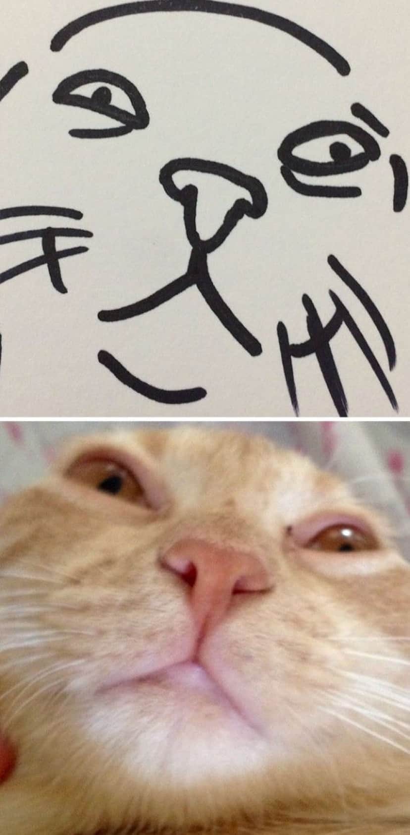 15_e
