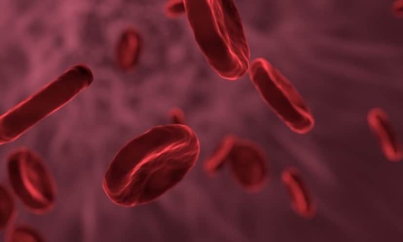 red-blood-cells-3188223_640_e