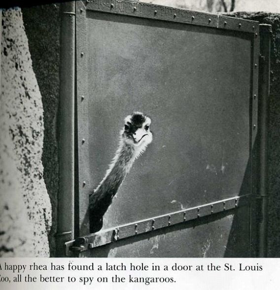 classic_life_magazine_photos_79