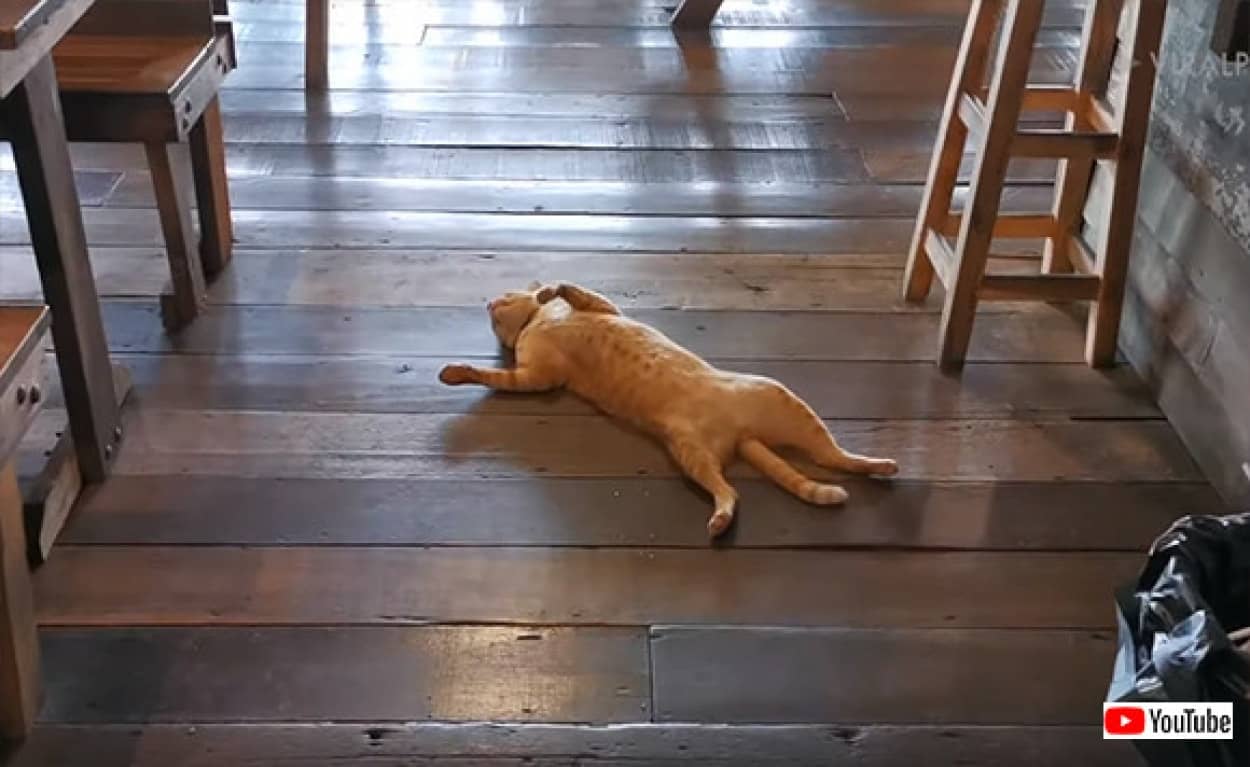 no title