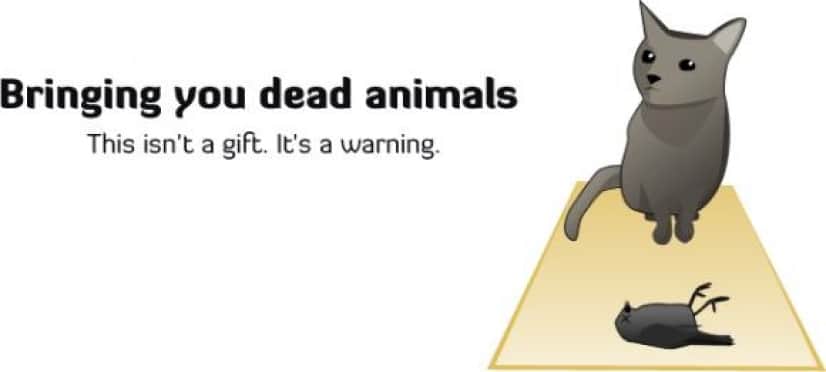 猫がこんな行動をした時は要注意 あなたを殺る瞬間を狙っている8つの仕草 ジョーク的な意味で カラパイア 猫がこんな行動をした時は要注意 あなたを殺る瞬間を狙っている8つの仕草 ジョーク的な意味で カラパイア