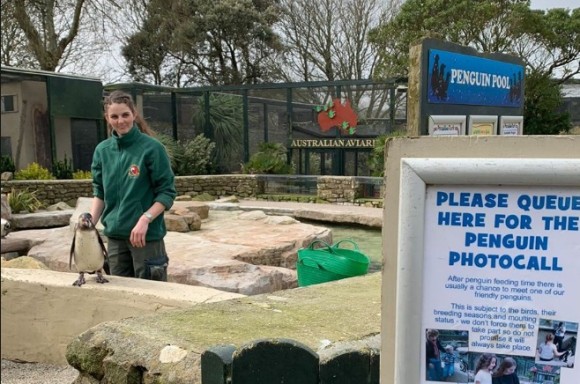 野生動物保護施設の職員ら、動物たちの世話のために園内施設で自己隔離（イギリス）