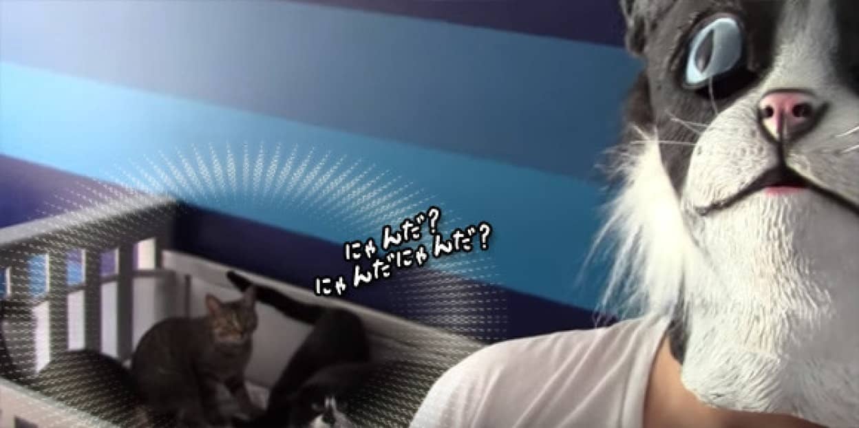 生きのいい猫マスクを入手したので猫たちの反応を見てみた カラパイア 生きのいい猫マスクを入手したので猫たちの反応を見てみた カラパイア