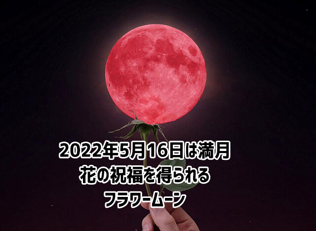 5月16日は満月。花の祝福を全身で受け止めよう！