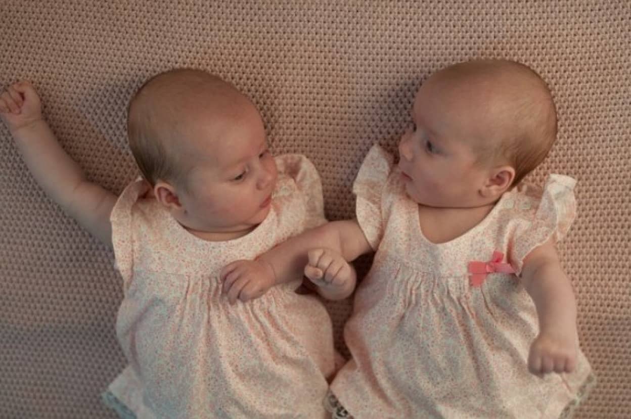 twins-821215_640_e