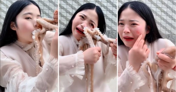 タコの踊り食いに挑戦した女性 タコの吸盤攻撃で顔面を負傷 中国 カラパイア