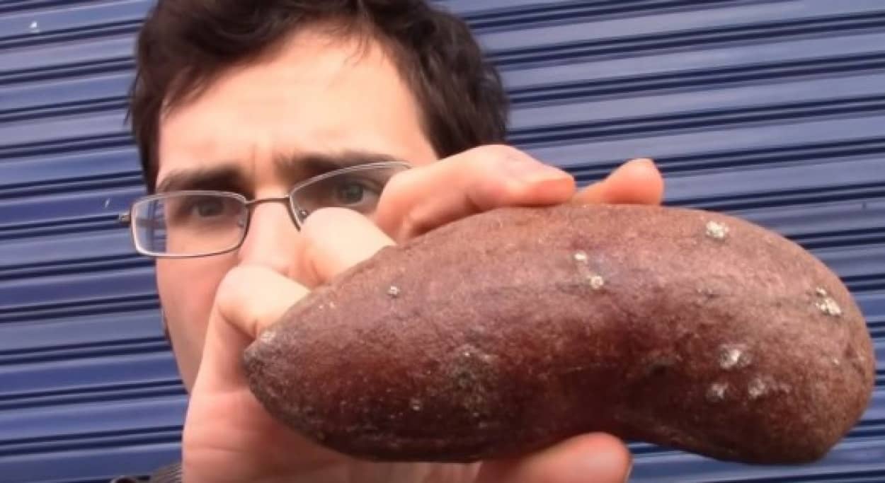 fruit1