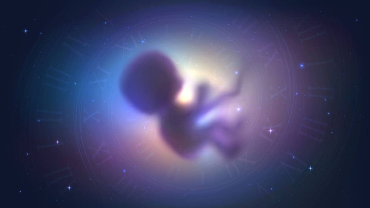 AIが人工子宮で胎児を育てる