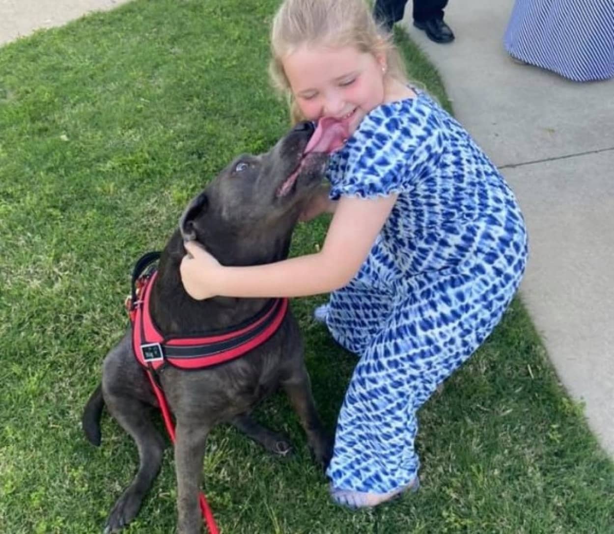 父親を亡くした少女に寄り添い続けた散歩中の犬