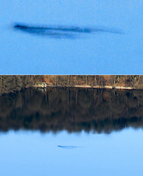 windermeremonster