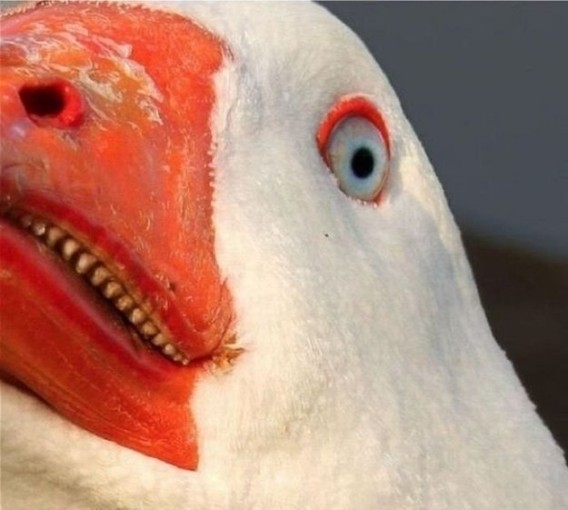 8_e7