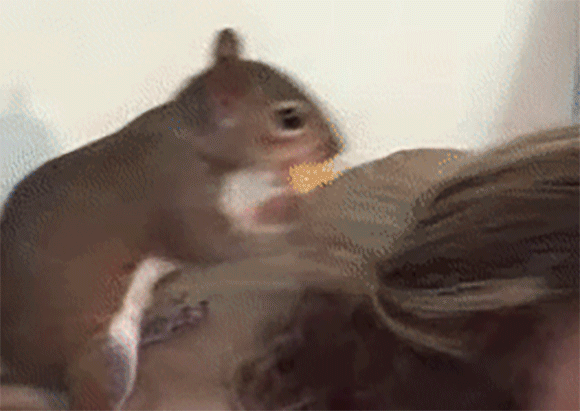 Krswa3zuwbgbem Krswa3zuwbgbem