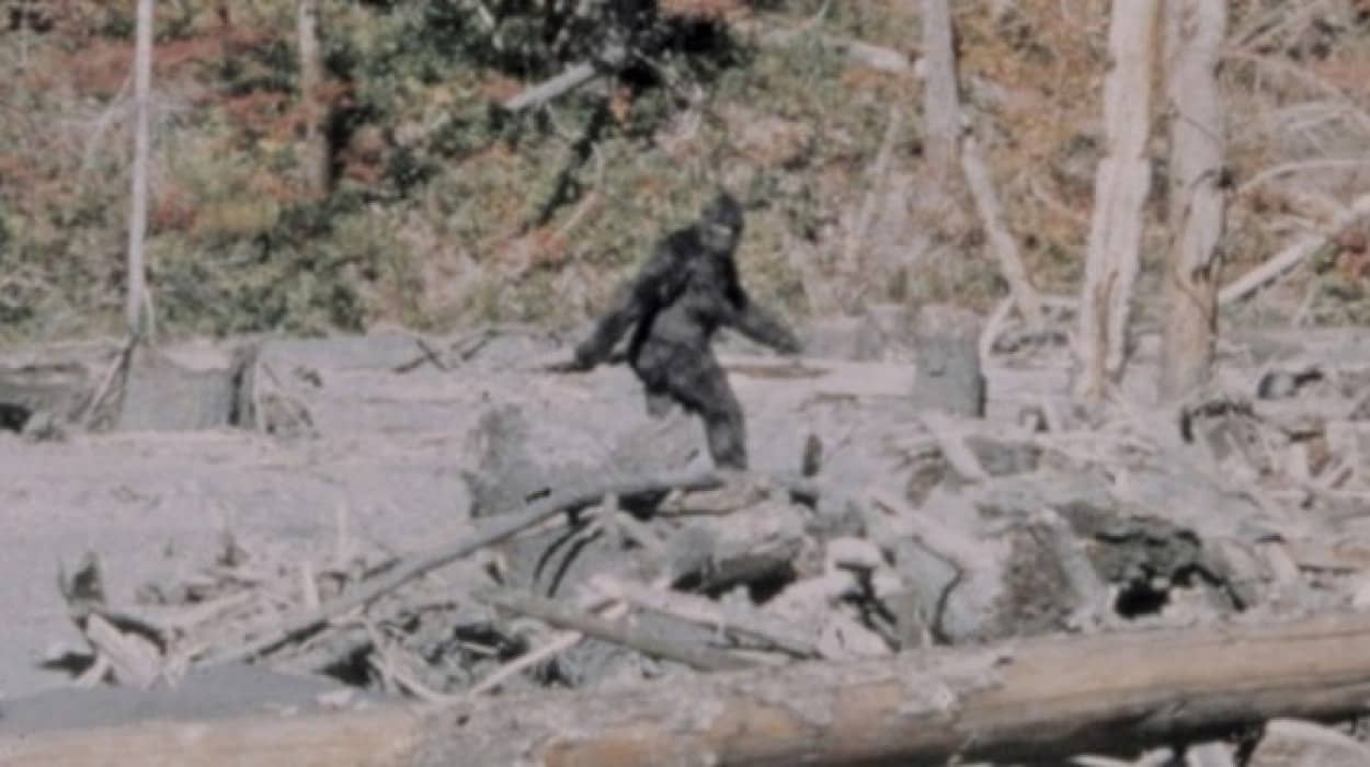 夢を見させてくれてありがとう 我々をワクワクさせてくれる11種のuma カラパイア