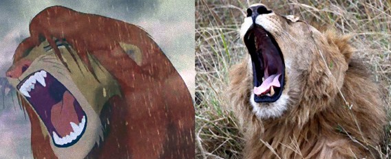 ハクナ マタタ これがリアルな ライオンキング の世界 アフリカで撮った写真とライオンキングのシーンを比較してみた カラパイア