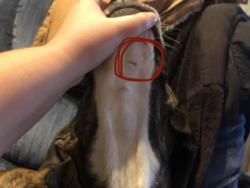 1_e