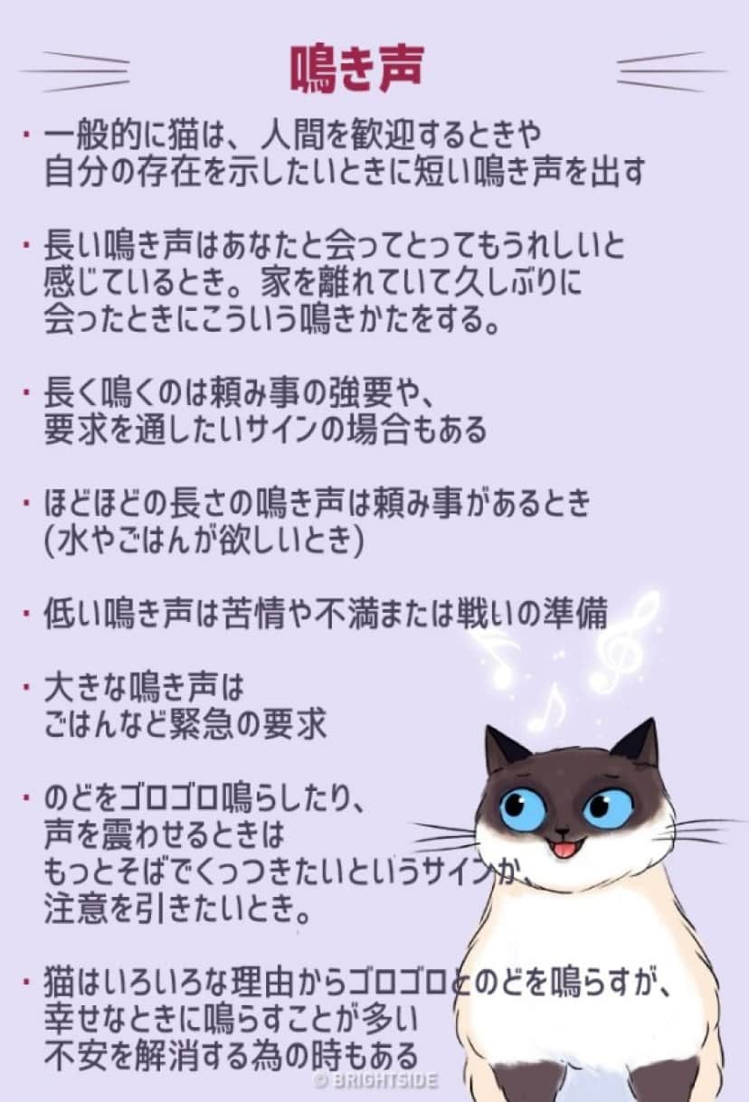 猫は雄弁 尻尾や仕草 鳴き声で多くを語る 猫語 を理解するためのイラスト カラパイア 猫は雄弁 尻尾や仕草 鳴き声で多くを語る 猫語 を理解するためのイラスト カラパイア