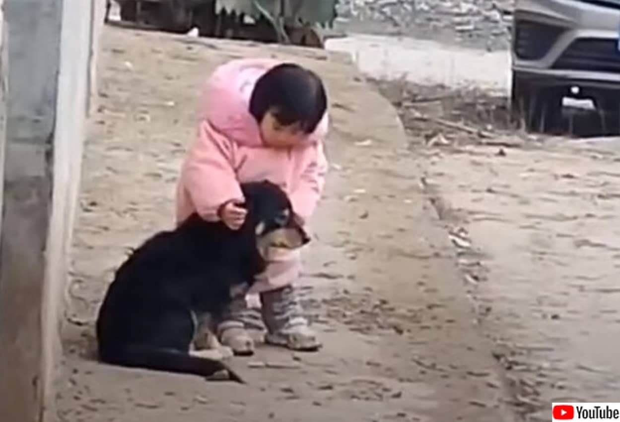 犬を花火の音から守ってあげる少女