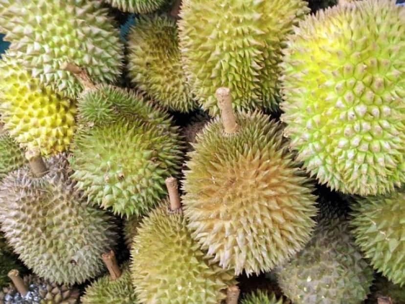 fruit2