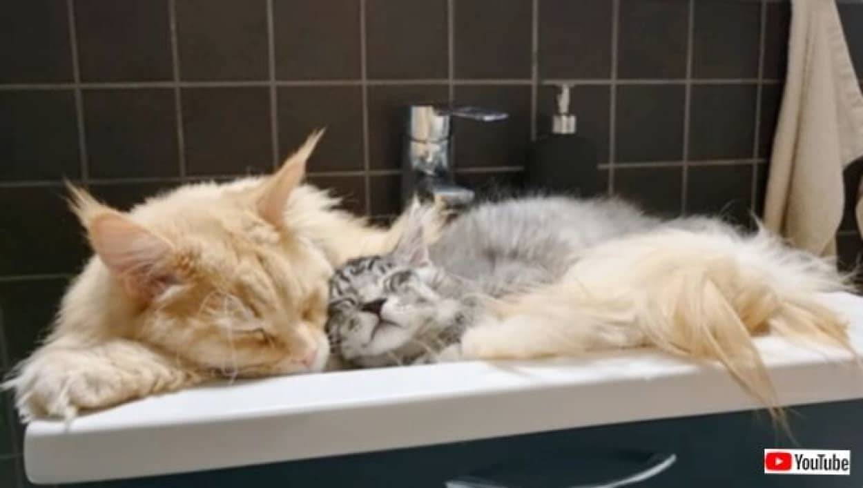 20231004_111527 (5)_batch