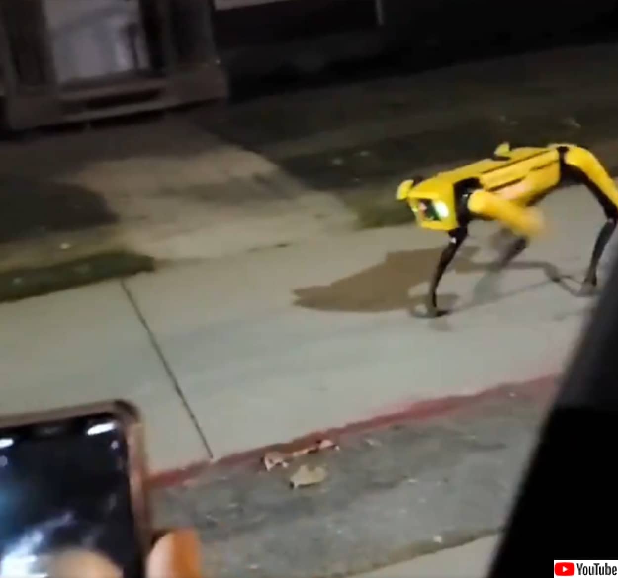犬型ロボット「spot」にばったり遭遇