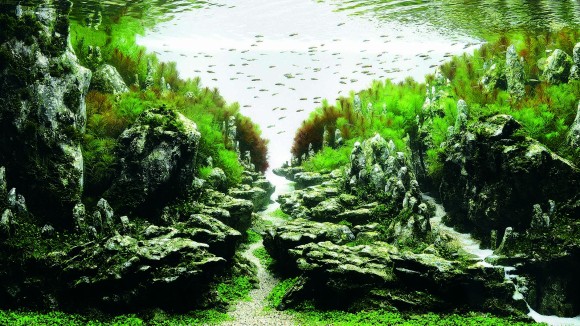 水中に広がるスモールワールド 15年国際水草レイアウトコンテストの受賞作品 カラパイア