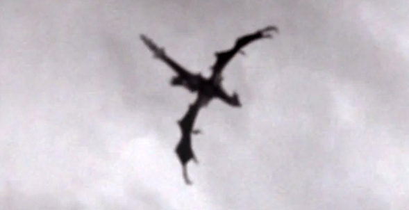 こ これが伝説のドラゴン イギリスの上空でいい感じの怪鳥が飛行中のところを目撃 撮影される カラパイア