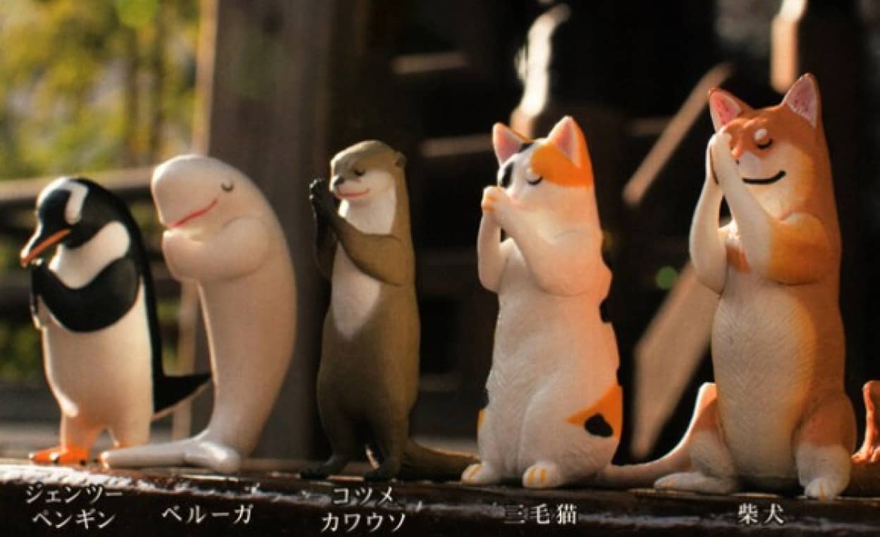 困った時の神頼み 動物たちと一緒に祈ることで祈願達成するかも 合掌する5種の動物フィギュアのカプセルトイ カラパイア 困った時の神頼み 動物たちと一緒に祈ることで祈願達成するかも 合掌する5種の動物フィギュアのカプセルトイ カラパイア