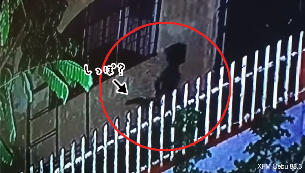 こ、これは！？尻尾を持つ人間の子供のような影が走り回っている姿が監視カメラにとらえられる