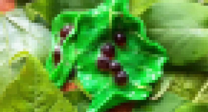 ̾¾Î̤ÀßÄê-1