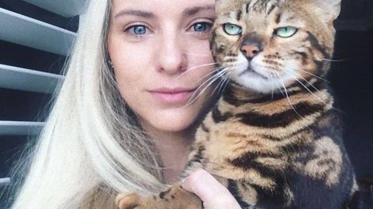 自撮りに巻き込まれるのが嫌な猫ズの形相をみてみよう カラパイア