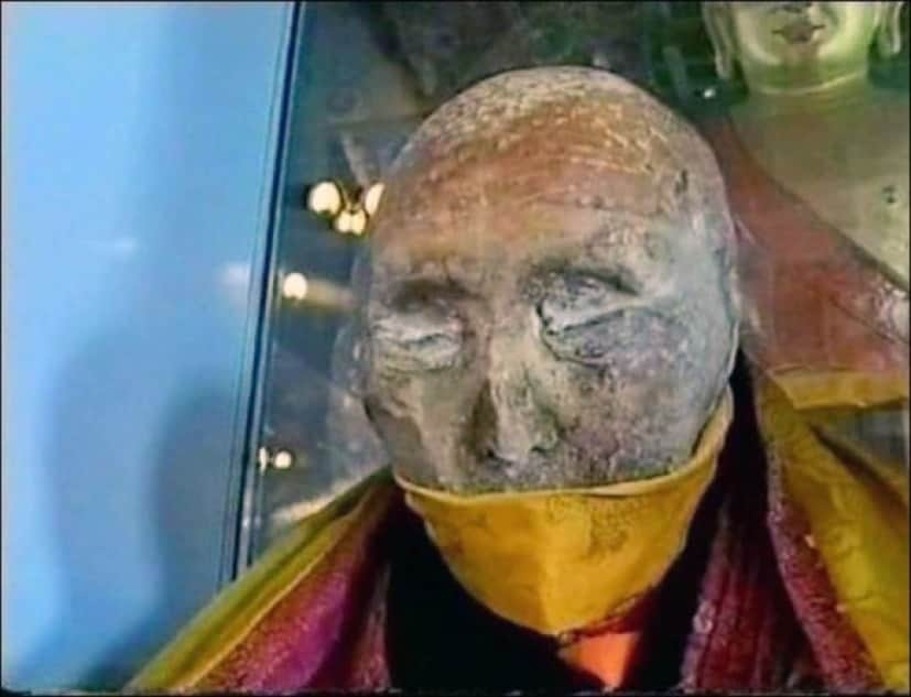 8_e0