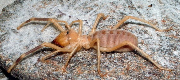 5_e14